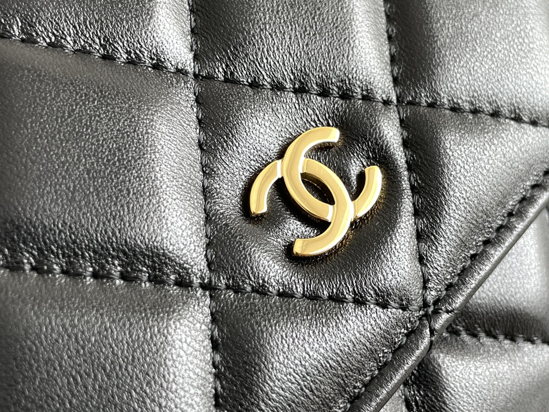 Chanel WOC Bags